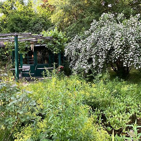 Design Ferienwohnung Mit Bauerngarten 瓦尔德基兴 外观 照片